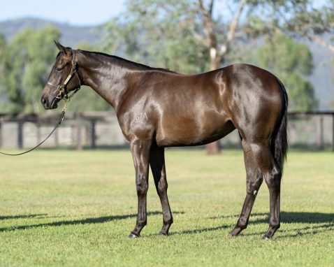 Shamus Award - Psychic Filly